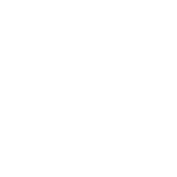 link to Instagram for Aloha Island Manapua